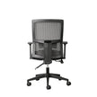 BackLogic Ergonomic Office Chair