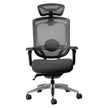 Alya Ergonomic Office Chair