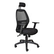 Xenon Netted High-back Office Chair