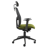 Airo High-back Office Chair | TEC-HCH-371, Ergonomic Office Chair with Green Cushioned Fabric Seat, Adjustable Armrests, and a Black Mesh Backrest with Headrest.