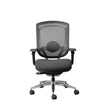 Alya Ergonomic Office Chair