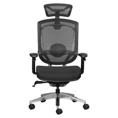 Alya Mesh High-back Office Chair, Ergonomic Black Mesh Office Chair with Adjustable Armrests, Lumbar Support, and a High-back Design.