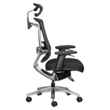 Alya Mesh High-back Office Chair, Ergonomic Black Mesh Office Chair with Adjustable Armrests, Headrest, Cushioned Seat, and Metal Base with Caster Wheels.