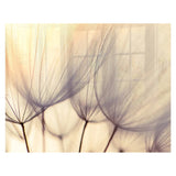 Decorative Glass Wall Tile (898 x 700 X 6mm) Dandelion Floret