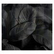 Decorative Glass Wall Tile 598MM X 650MM Feathers