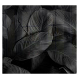 Decorative Glass Wall Tile 598MM X 650MM Feathers
