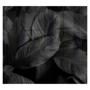 Decorative Glass Wall Tile 598MM X 650MM Feathers