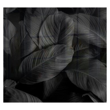 Decorative Glass Wall Tile 598MM X 650MM Feathers