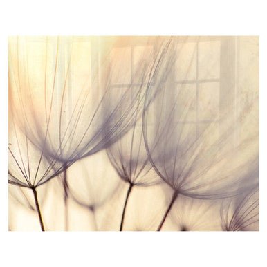 Decorative Glass Wall Tile (898 X 700 X 6mm) Dandelion Floret
