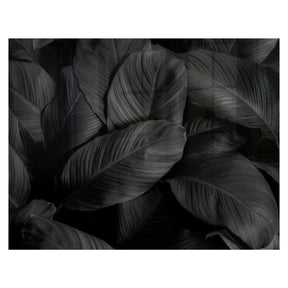 Decorative Glass Wall Tile (898 X 700 X 6mm) Feathers
