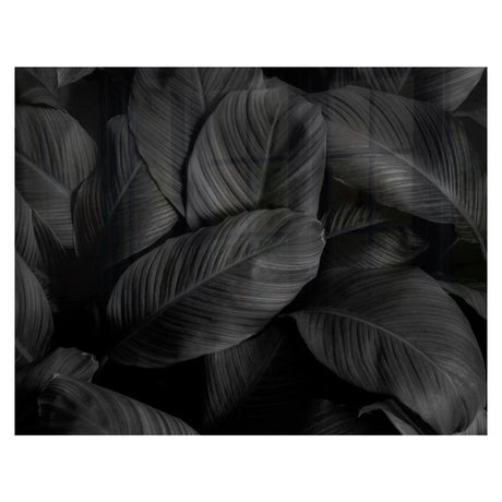 Decorative Glass Wall Tile (898 X 700 X 6mm) Feathers