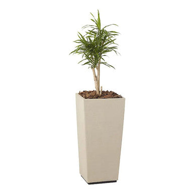 Eco - Fibre Square Tapered Planter