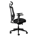 Ergocurve Mesh High-Back Office Chair