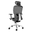 Falcon Mesh High-Back Office Chair