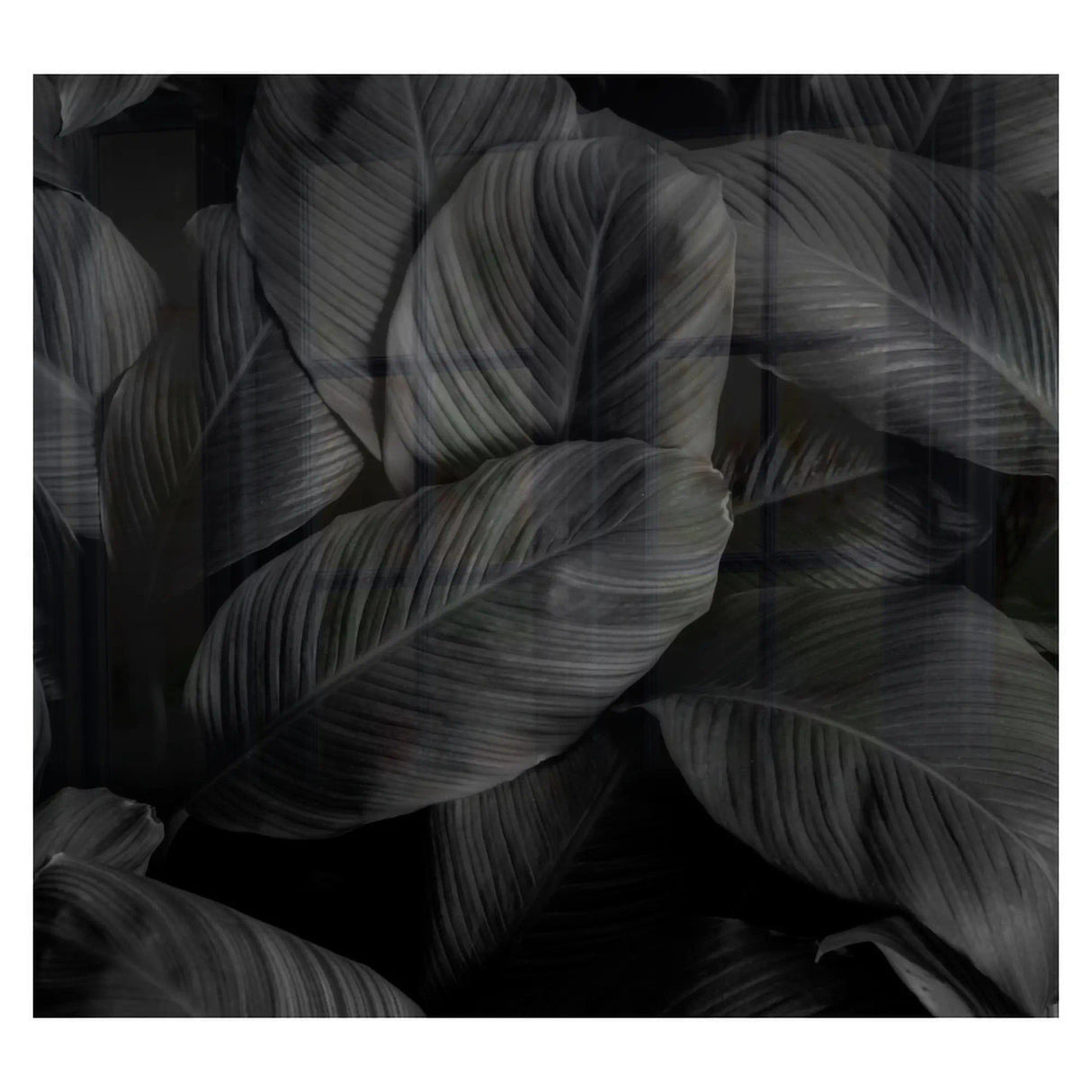 Decorative Glass Wall Tile 598MM X 650MM Feathers