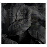 Decorative Glass Wall Tile 598MM X 650MM Feathers