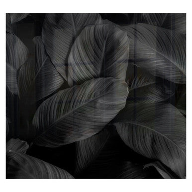 Decorative Glass Wall Tile 598mm X 650mm Feathers