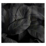 Decorative Glass Wall Tile 598mm X 650mm Feathers