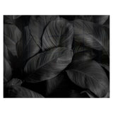 Decorative Glass Wall Tile (898 X 700 X 6mm) Feathers