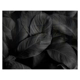 Decorative Glass Wall Tile (898 x 700 X 6mm) Feathers