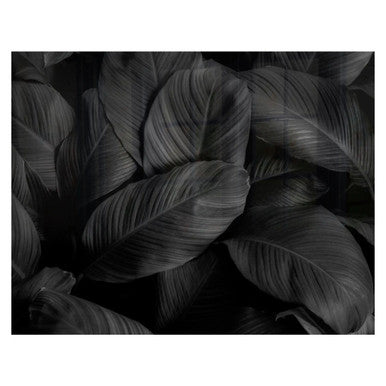 Decorative Glass Wall Tile (898 x 700 X 6mm) Feathers