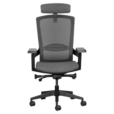 Firefly Mesh High-back Office Chair, Ergonomic Office Chair with a Breathable Mesh Backrest, Adjustable Headrest, Padded Seat, and Armrests, Ideal for Comfortable Work Sessions.