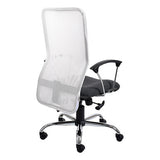 67 Lisa Mesh High-back Office Chair with Black Seat and Armrests, Featuring a Transparent Mesh Backrest, Adjustable Height Mechanism, and Five-Star Base with Casters, in a Sleek and Modern Design, Ideal as an Adjustable Height Chair.