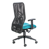 Black Ergonomic Chair, Lisa Mesh High-back Office Chair by 67, Featuring a Mesh Back, Teal Seat, and Adjustable Armrests on a Five-Star Base with Wheels, Showcasing a Synchro Lock Mechanism for Optimal Comfort and Support.
