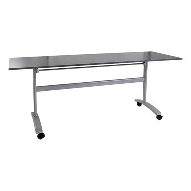 Mobile Folding Table