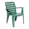 Nova Olive Indoor & Outdoor Dining Chair