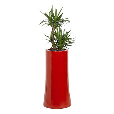 Nurture Planter 32cm Liner - Additional View 7