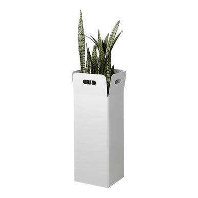 Out the Box Planter | Office Accessories | Office Stock
