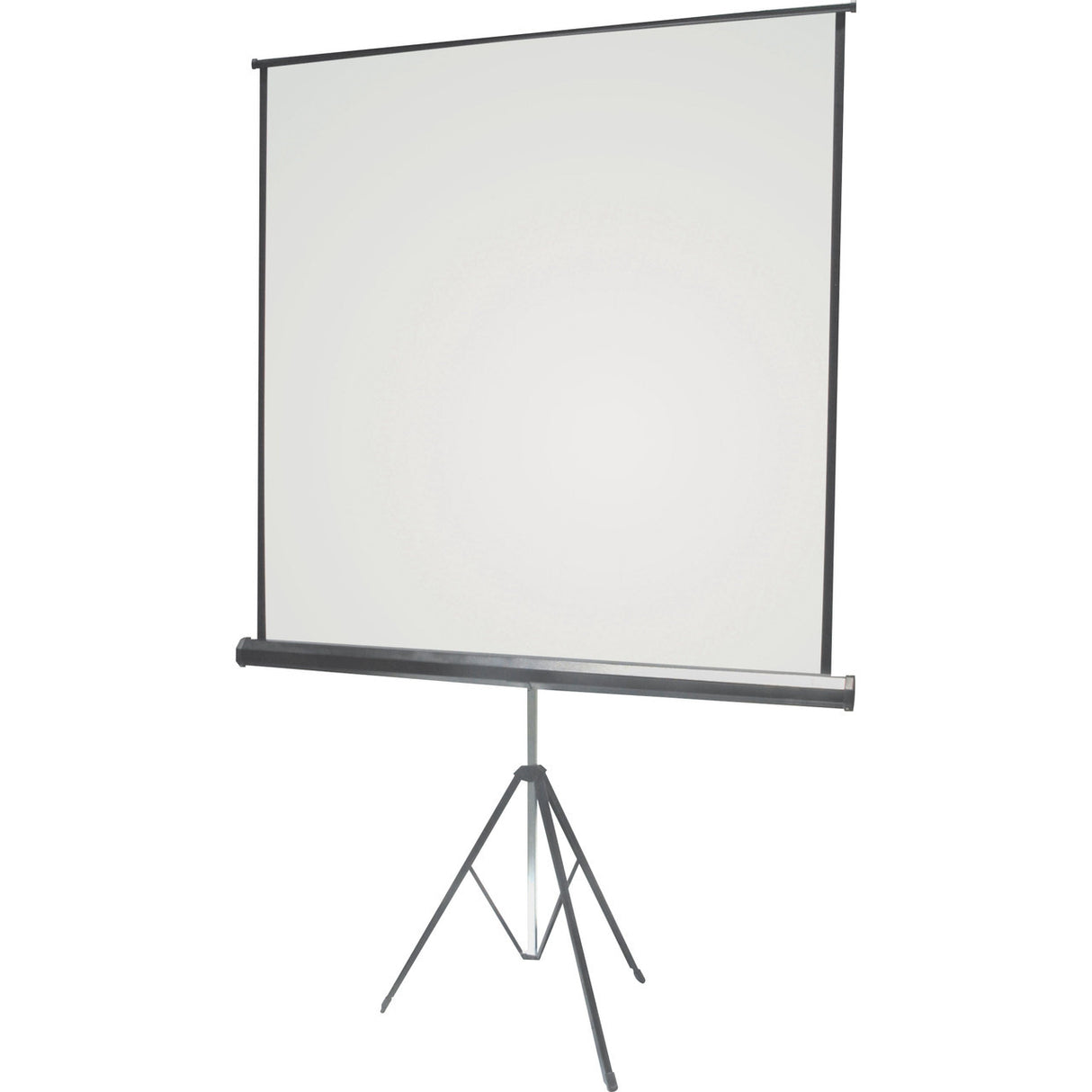 Projector Tripod Screen 2110*1600mm (View: 2030*1520mm - Ratio: 4:3)