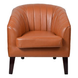 Ricara Tub Chair - Additional View 5