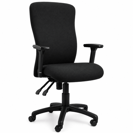 Spine High-Back Office Chair