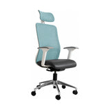 Tide Mesh High-Back Office Chair