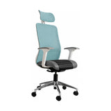Tide Mesh High-Back Office Chair