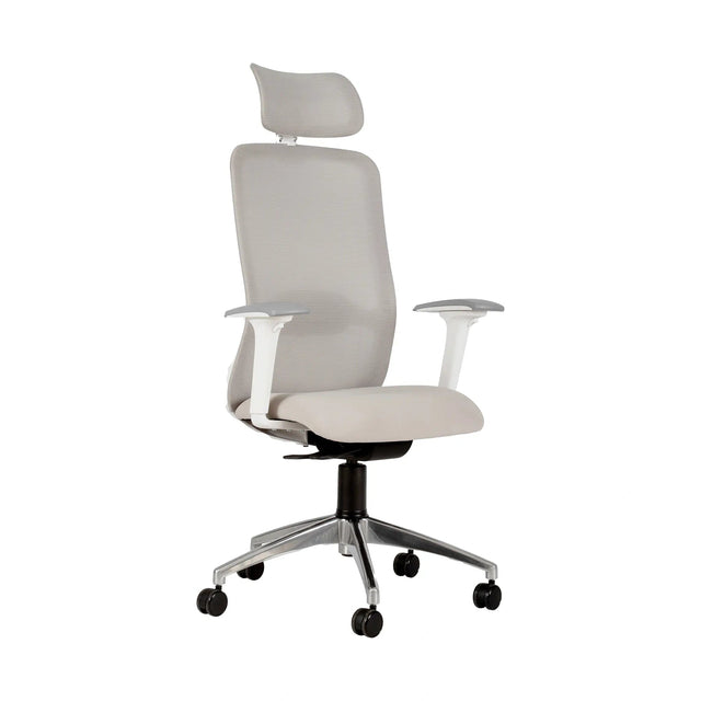 Tide Mesh High-Back Office Chair
