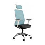 Tide Mesh High-Back Office Chair