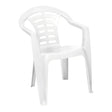 Urban White Indoor & Outdoor Dining Chair