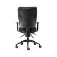 Wellback 200 Orthopaedic Chair